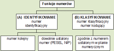 Podstawowe funkcje kodów/numerów